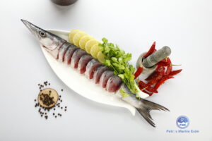 சீலா மீன்<BR> SHEELA (BARRACUDA)