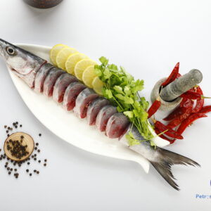 சீலா மீன்<BR> SHEELA (BARRACUDA)