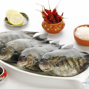 கரிமீன் <BR>PEARL SPOTED FISH