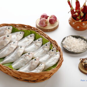 வெள்ளச் சுடும்பு மீன் <BR>CHOCLATE-FISH
