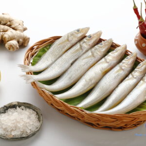 வெள்ளை கிளாங்கான் மீன் <BR>LADY-FISH