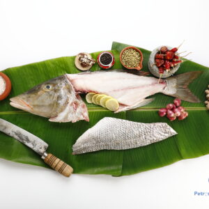 கார்வா மீன் <BR>LONG-NOSE-KUSHAL-FISH