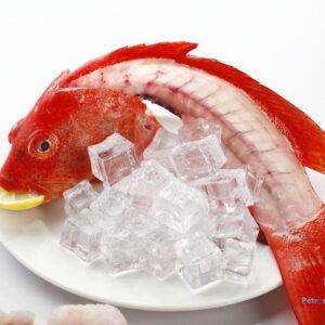 கலவா மீன் <BR>MOON-TAIL-GROUPER