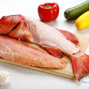 பவள டிரவுட் மீன் <BR> CORAL –TROUT Fish