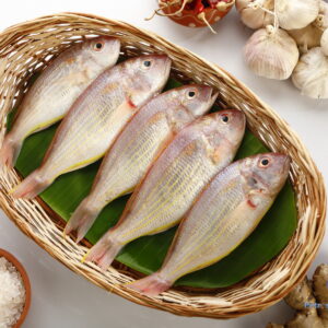 சங்கரா மீன் <BR>JAPANES BREAM